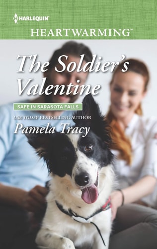 The Soldier's Valentine (Safe in Sarasota Falls, 3)
