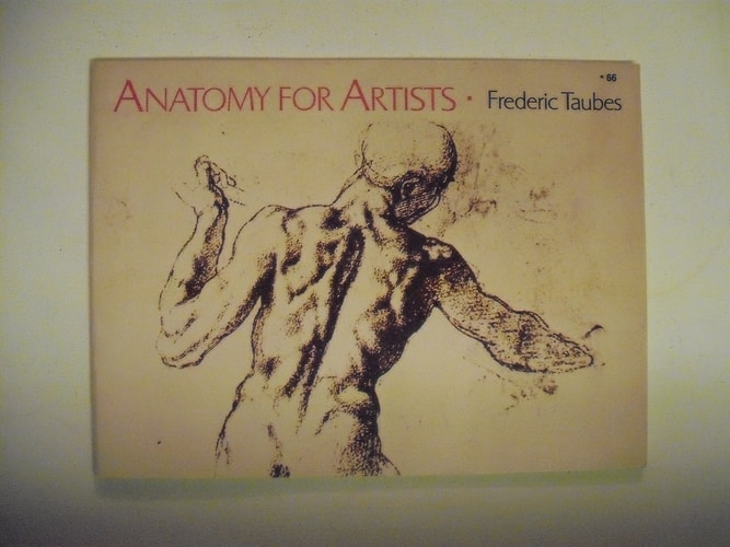 Anatomy for Artists