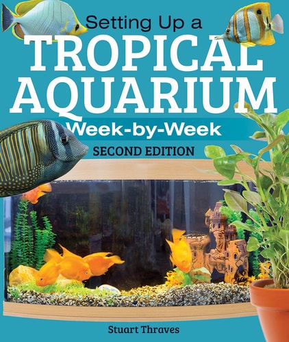 Setting Up a Tropical Aquarium Week by Week
