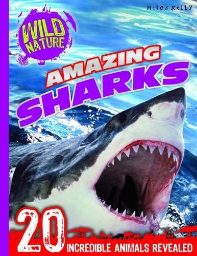 Amazing Sharks 20 Incredible Animals Revealed