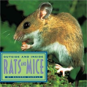 Outside and Inside Rats and Mice (Outside Inside)