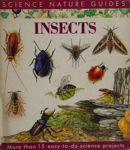 Insects of North America (Science Nature Guides)