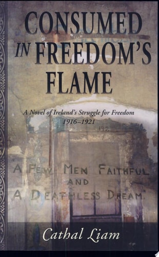 Consumed in Freedom's Flame: A Novel of Ireland's Struggle for Freedom 1916-1921