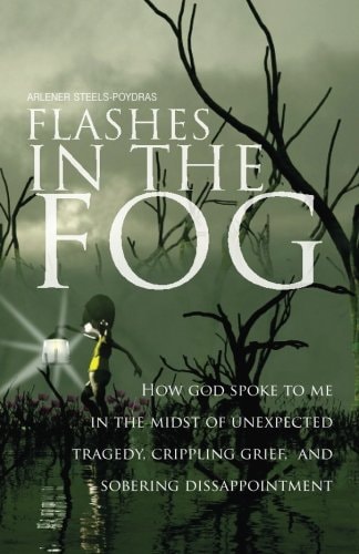 Flashes in the Fog (2nd Edition): How God Spoke to Me in the Midst of Unexpected Tragedy, Crippling Grief, and Sobering Disappointment