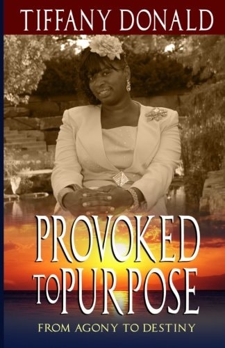 Provoked to Purpose