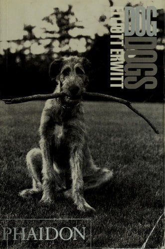 Dog Dogs