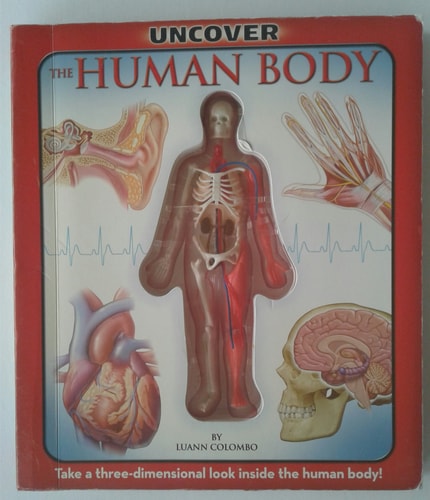 The Human Body Take a Three-Dimensional Look Inside the Human Body!