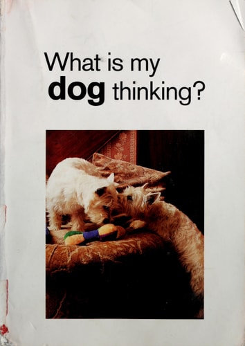 What Is My Dog Thinking?: The Essential Guide to Understanding Pet Behavior