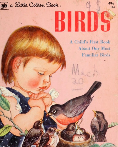 Birds