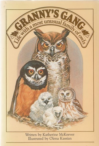 Granny's Gang   ( Life with a most unusual family of owls )