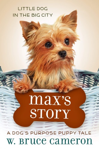 Max's Story A Dog's Purpose Puppy Tale