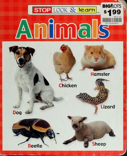 Stop, Look, Learn