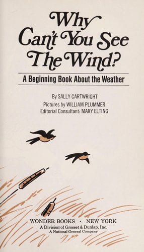 Why can't you see the wind?: A beginning book about the weather (Preschool easy answer books)