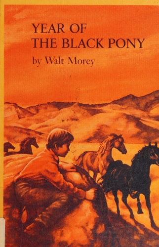 The Year of the Black Pony