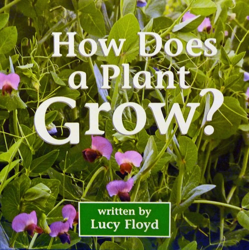 Harcourt School Publishers Science: Rdr:How Does A Plant Grow 2