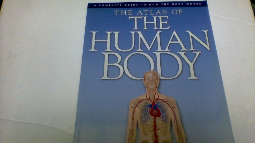 The Atlas of The Human Body