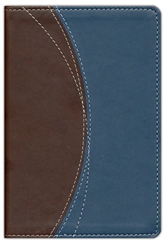 NIV Thinline Bible Compact, Chocolate/Grey, Italian Duo-Tone
