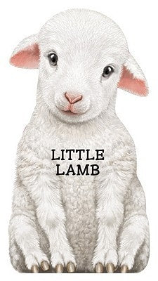 Little Lamb (Look at Me Books)