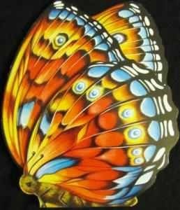 The Butterfly