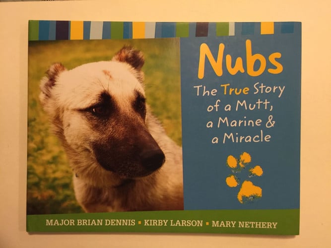 Nubs: The True Story of a Mutt, a Marine & a Miracle