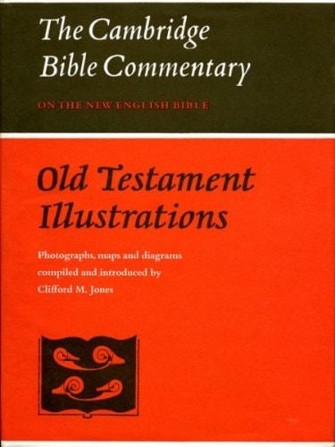 Old Testament Illustrations (Cambridge Bible Commentaries on the Old Testament)