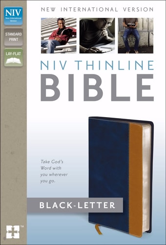 NIV, Thinline Bible, Imitation Leather, Blue/Tan