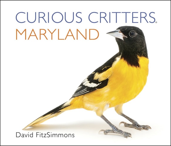 Curious Critters Maryland (Curious Critters Board Books)