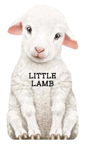 Little Lamb