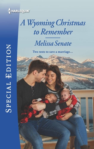 A Wyoming Christmas to Remember (The Wyoming Multiples, 6)