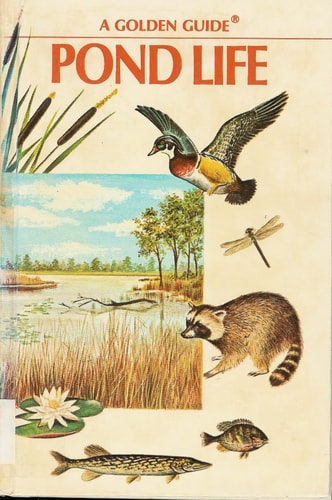 Pond Life (Golden Guides)