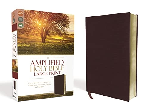 Amplified Holy Bible, Large Print Captures the Full Meaning Behind the Original Greek and Hebrew [Burgundy]