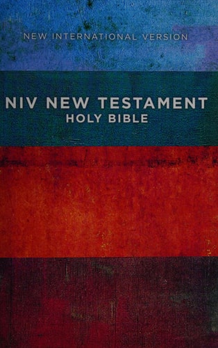 Outreach New Testament: New International Version, Red / Blue Stripes