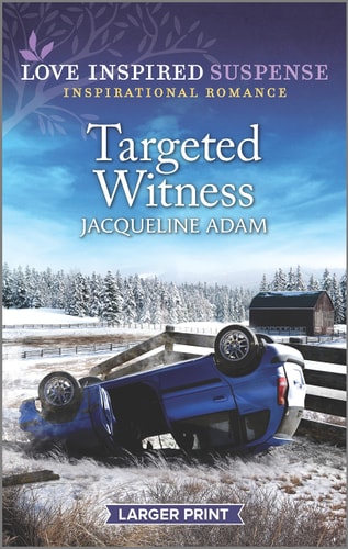 Targeted Witness (Love Inspired Suspense)