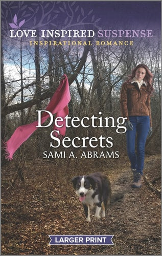 Detecting Secrets (Deputies of Anderson County, 3)