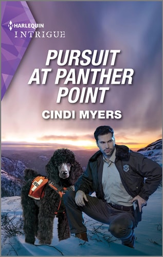 Pursuit at Panther Point (Eagle Mountain: Critical Response, 2)