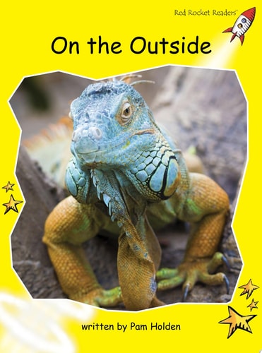 On the Outside (Red Rocket Readers: Early Level 2: Yellow)