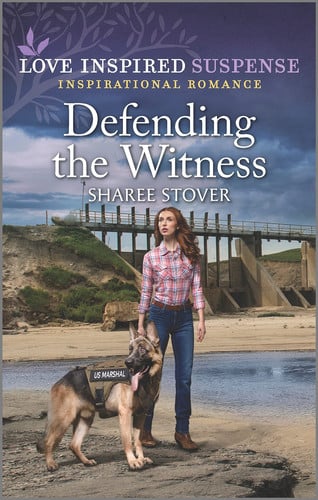 Defending the Witness (Love Inspired Suspense)