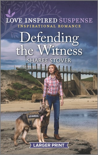 Defending the Witness (Love Inspired Suspense)