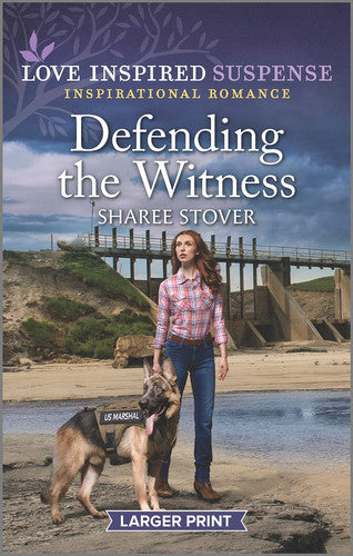 Defending the Witness (Love Inspired Suspense)