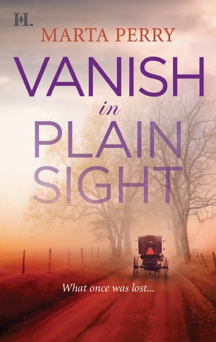 Vanish in Plain Sight (Brotherhood of the Raven, 2)