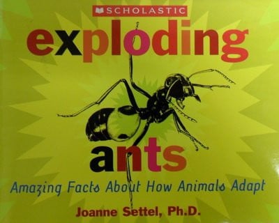 Exploding Ants