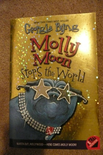 Molly Moon Stops the World