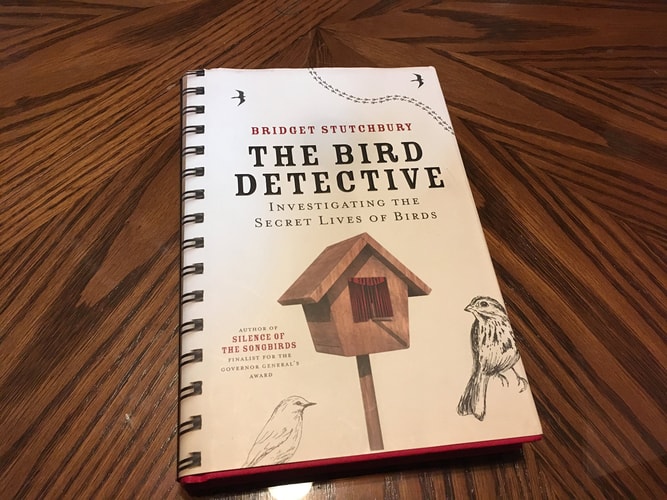 Bird Detective