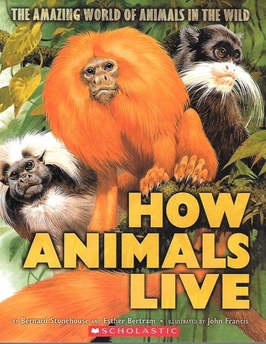 How Animals Live (The Amazing World of Animals in the Wild)