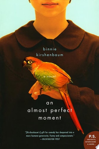 Almost Perfect Moment, An: A Novel