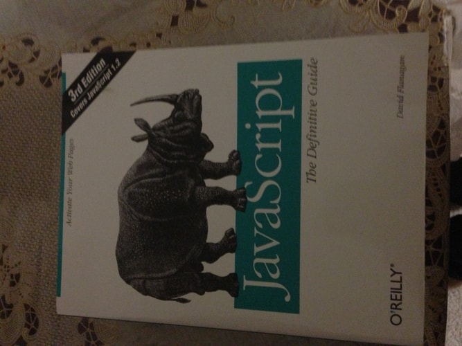 JavaScript: The Definitive Guide