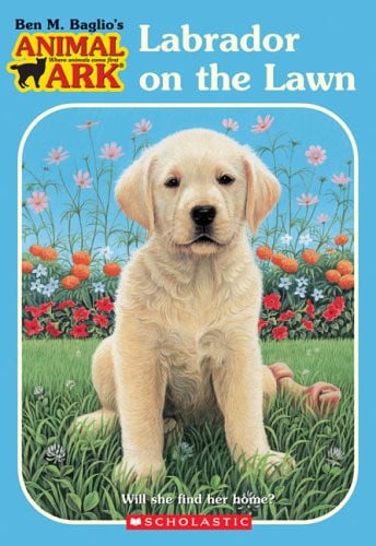Labrador on the Lawn (Animal Ark Holiday Treasury #1) (Animal Ark Series #38)