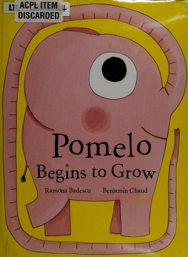 Pomelo begins to grow