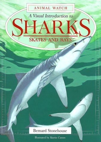 A Visual Introduction to Sharks: Skates and Rays (Animal Watch)