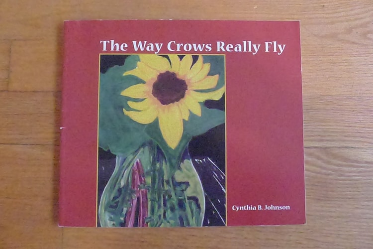 The Way Crows Really Fly